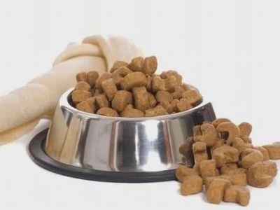 寵物食品配方師研發(fā)課程今日開課，深入解析犬貓商品化寵物飼糧