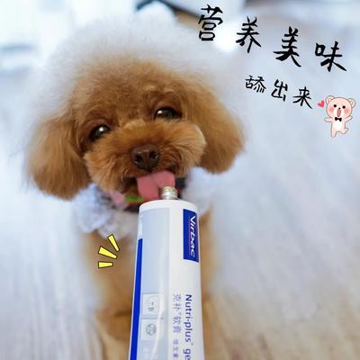 專業高效，合規清關 荷蘭寵物魚油膠囊進口報關全程指南